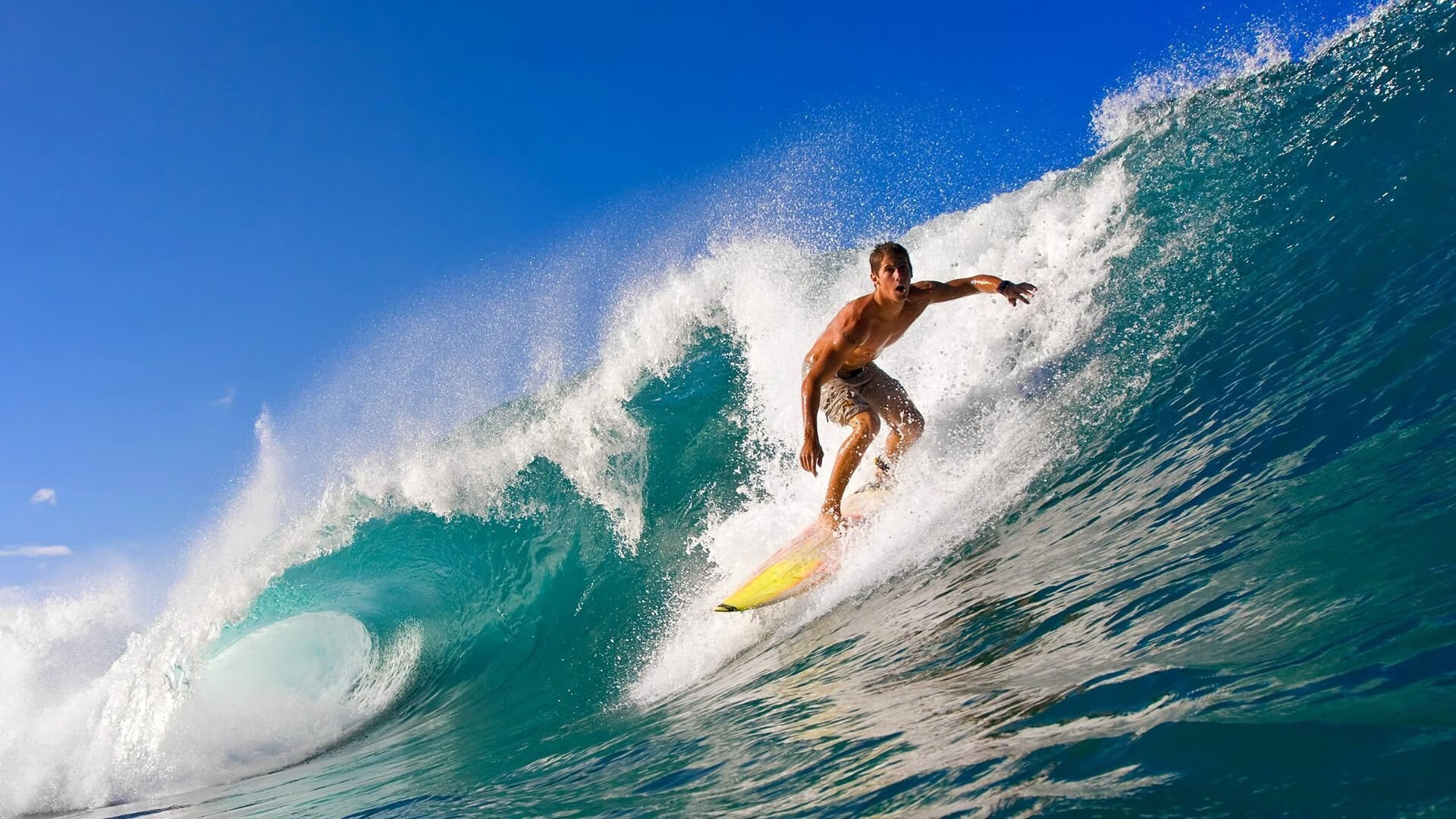芝加哥熊队在选秀中选中顶级四分卫，芝加哥熊队厉害吗